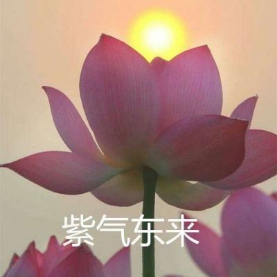 真正江湖游戏(暂未上线)v3.0.1 安卓版